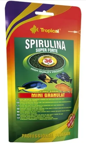 Oferta limitowana TROPICAL SPIRULINA SUPER FORTE 36% MINI GRANULAT 80g POKARM ZE SPIRULIN膭