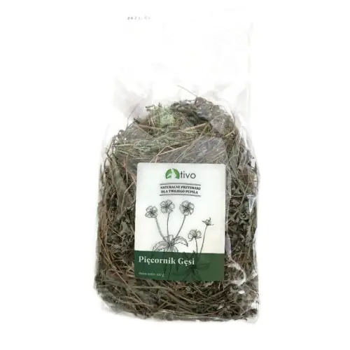 Zamów dziś Tivo Pi臋ciornik G臋si 100g
