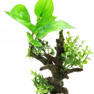 Oferta limitowana AQUA DELLA RO艢LINY NA KORZENIU FLORA 6 234-432105