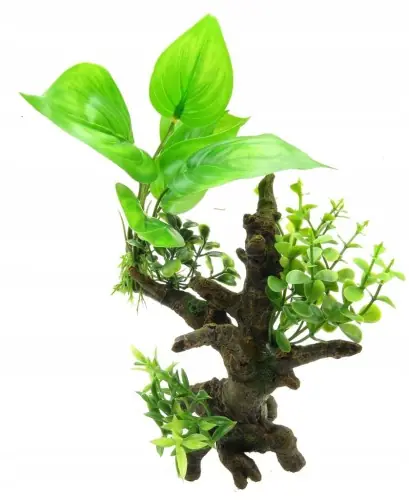 Oferta limitowana AQUA DELLA RO艢LINY NA KORZENIU FLORA 6 234-432105