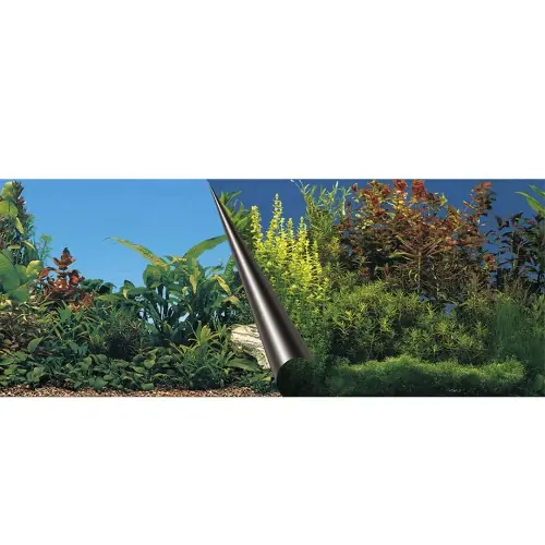 Oferta czasowa AQUA DELLA T艁O DWUSTRONNE DO AKWARIUM FOTOTAPETA 120x50cm BEAUTY/SEA