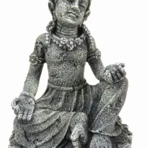 Dodaj do koszyka AQUA DELLA BUDDA SIARA POS膭G DEKORACJA DO AKWARIUM TERRARIUM 234-444405