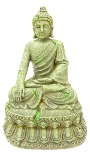Oferta AQUA DELLA BUDDA Z BAJON DEKORACJA 234-429600