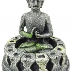 Zamów teraz AQUA DELLA BUDDA Z BOROBUDUR W KOLE 234-444368