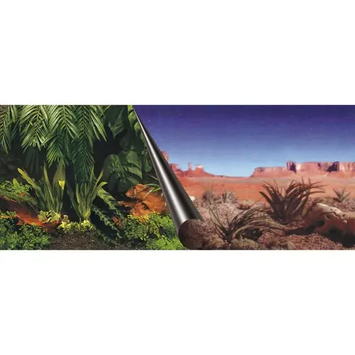 AQUA DELLA T艁O DWUSTRONNE DO TERRARIUM FOTOTAPETA 80x40cm JUNGLE/DESERT Obniżka ceny