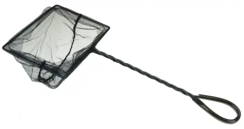 AQUA NOVA SIATKA DO WY艁AWIANIA RYB 15cm Oferta