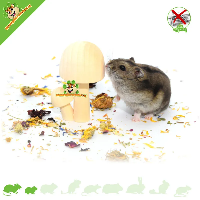 Cena promocyjna Drewniane grzyby dekoracyjne do chomików 8,5 cm