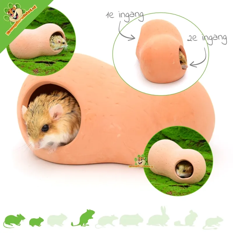Najlepsza cena Domek z terakoty 21 cm dla gryzoni!
