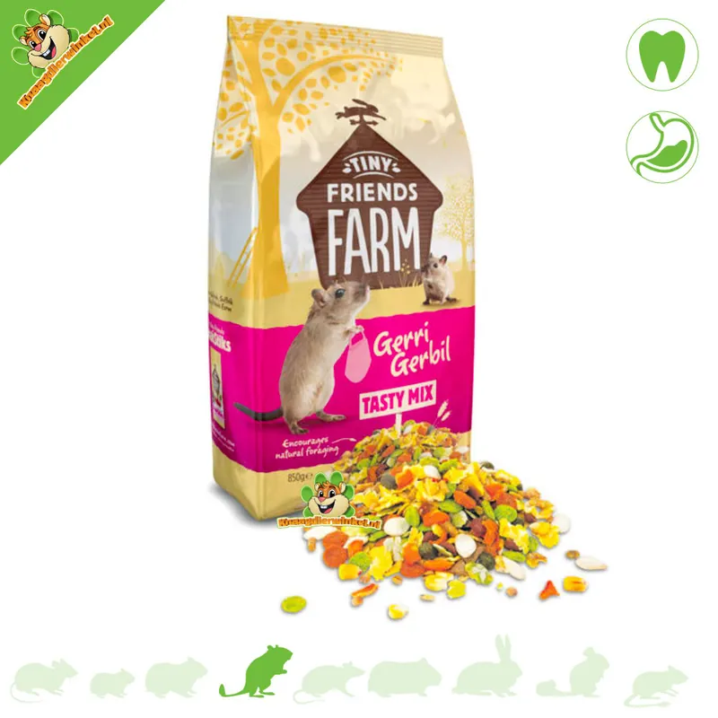 Gerri Gerbil Tasty Mix karma dla myszoskoczków 850 gramów Nowy