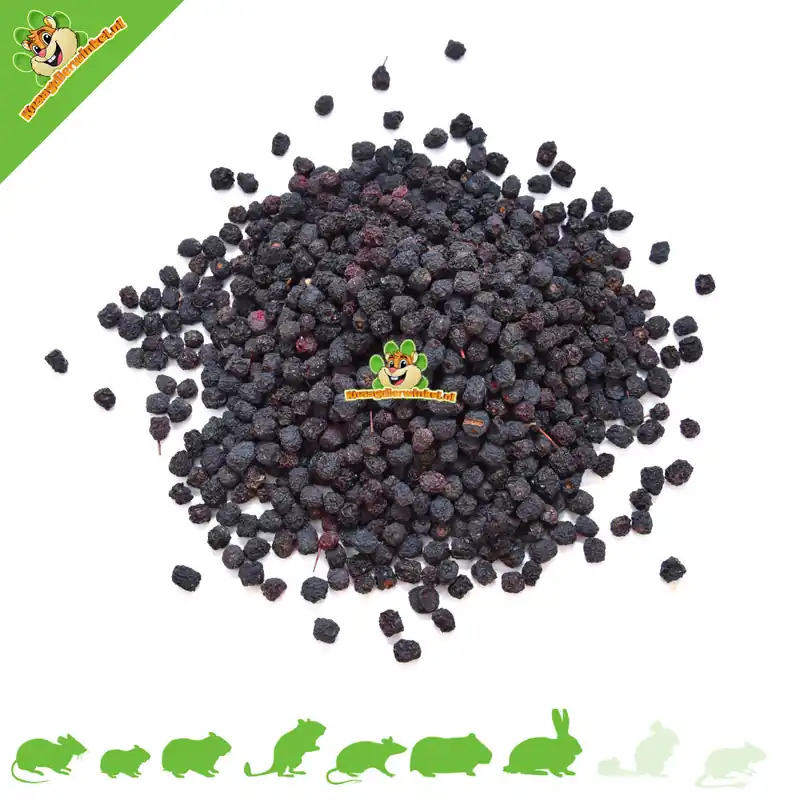 Aronia dla gryzoni i królików 200 gramów Zamów dziś