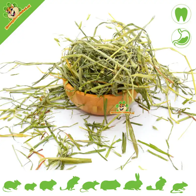 Premium Rodent Grocer Oats & Barley Grass dla gryzoni i królików