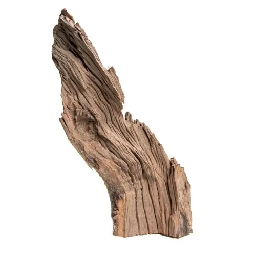 KORZE艃 Jagged Wood 30-45cm Naturalny korze艅 do akwarium Taniej