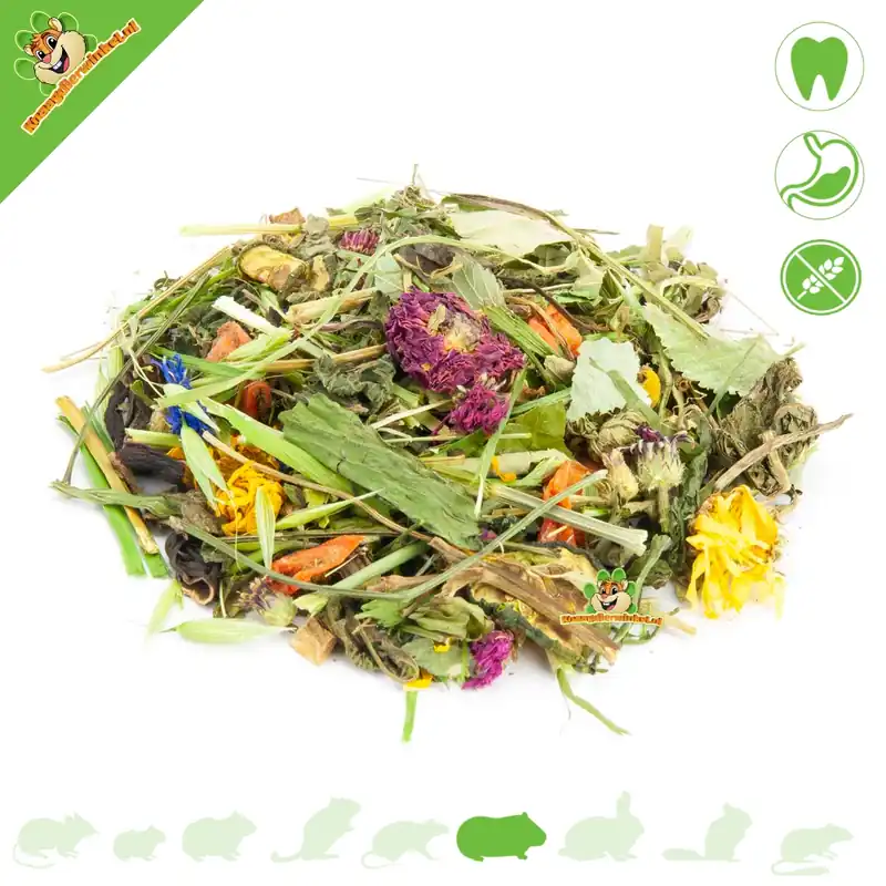 Naturalna Karma dla Świnek Morskich z Ziołami 500 g Promocja