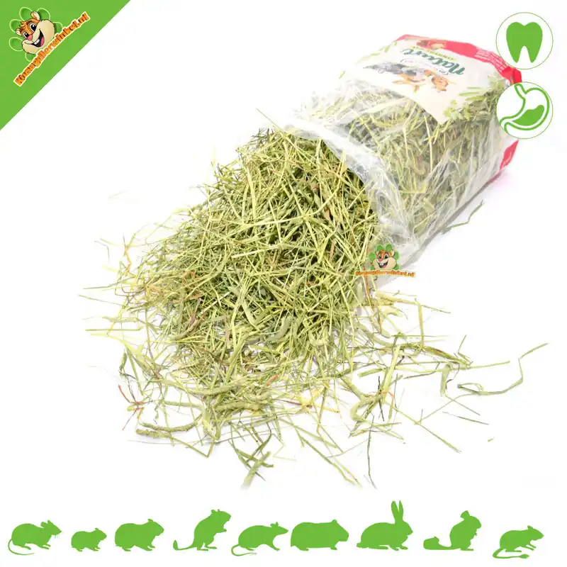 Nature Timothy Hay Paprika & Parsnip 500 gramów Nowość