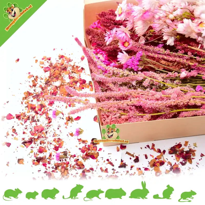 Nie przegap Pakiet Deluxe Flower w Różowym Niebie – różowe chomiki w aranżacji i wzbogacaniu