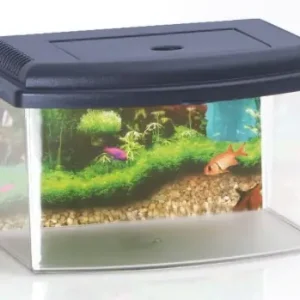 Plastikowe akwarium/kotnik z pokrywk膮 i uchwytem do przenoszenia 3l, wym. 22x16x14cm Nowy