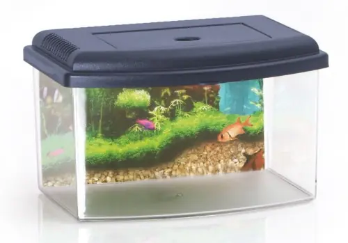 Plastikowe akwarium/kotnik z pokrywk膮 i uchwytem do przenoszenia 3l, wym. 22x16x14cm Nowy