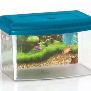 Plastikowe akwarium/kotnik z pokrywk膮 i uchwytem do przenoszenia 5,5l, wym. 28x20x17cm Najlepsza cena