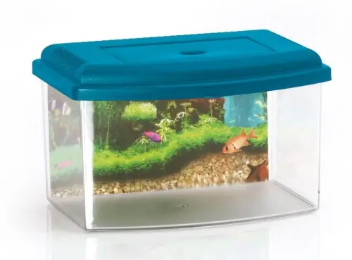 Plastikowe akwarium/kotnik z pokrywk膮 i uchwytem do przenoszenia 5,5l, wym. 28x20x17cm Najlepsza cena