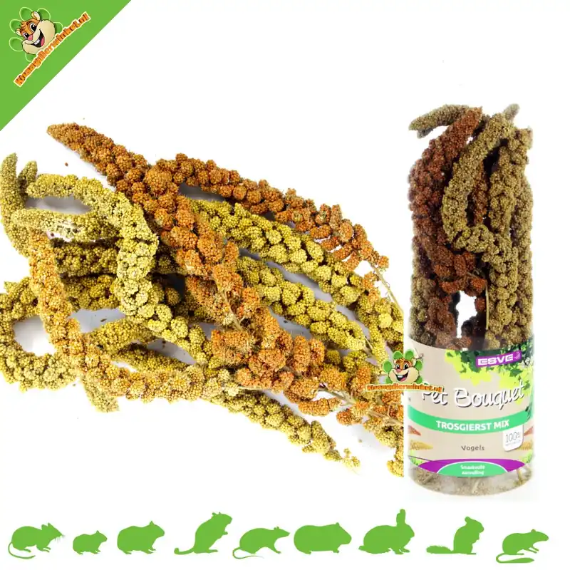 Wyprzedaż Pet Bouquet Tube Spray proso