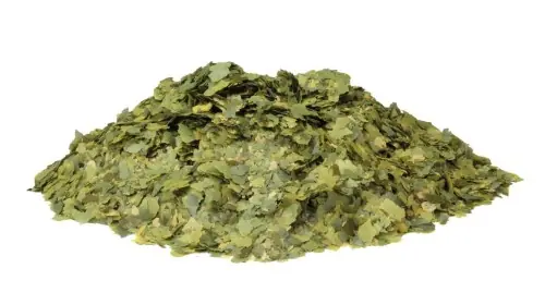 Okazja TETRA PHYLL 190g/1L POKARM RO艢LINNY + B艁ONNIK