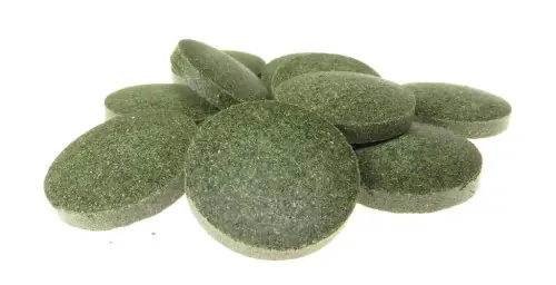 Kup teraz TROPICAL PLECO`S TABLETS 36% 100g ZE SPIRULIN膭 36%