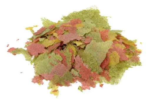 TROPICAL POKARM WIELOSK艁ADNIKOWY DLA RYBEK 5kg Bestseller
