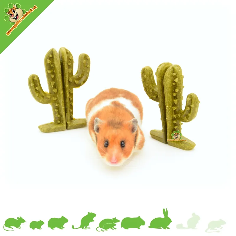Veggie Bites Cactus 9 cm – Naturalna przekąska dla gryzoni Zamów dziś