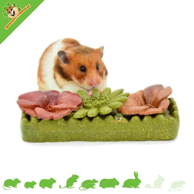 Łatwy zwrot Veggie Bites Flowers – jadalna przekąska kwiatowa dla gryzoni i królików