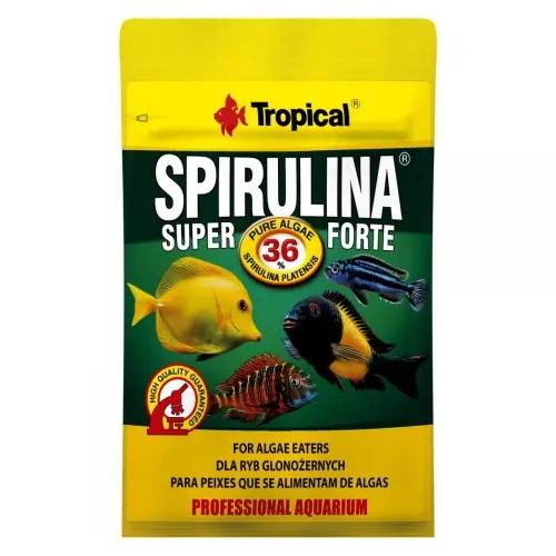Popularny TROPICAL SPIRULINA SUPER FORTE 36% 12g POKARM PREMIUM DLA RYB AKWARIOWYCH