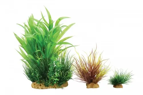 Oferta limitowana ZOLUX ZESTAW 3 RO艢LIN DO AKWARIUM WIHA model 2