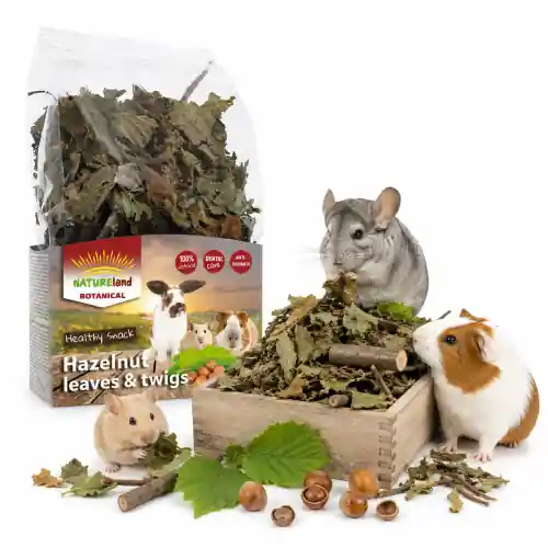 Szybka wysyłka NatureLand Mieszanka zi贸艂 i orzech贸w laskowych przysmak dla gryzoni 50 g