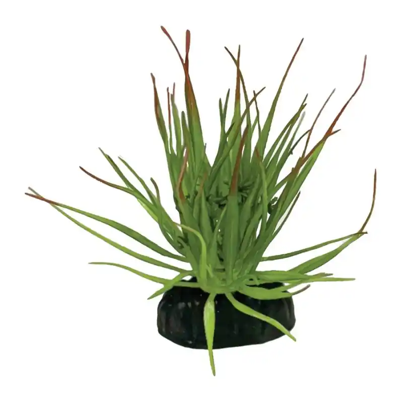 Roślina sztuczna Tillandsia Big Repto Rabat