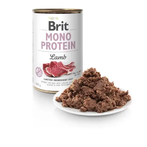 Ostatnia szansa Brit Mono Protein jagni臋cina 400 g