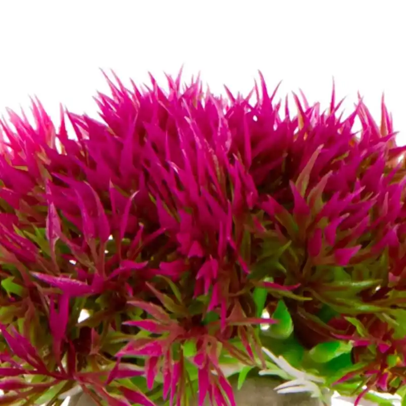 Premium Roślina Sztuczna Mini Grass Pink 6cm Kruger Meier