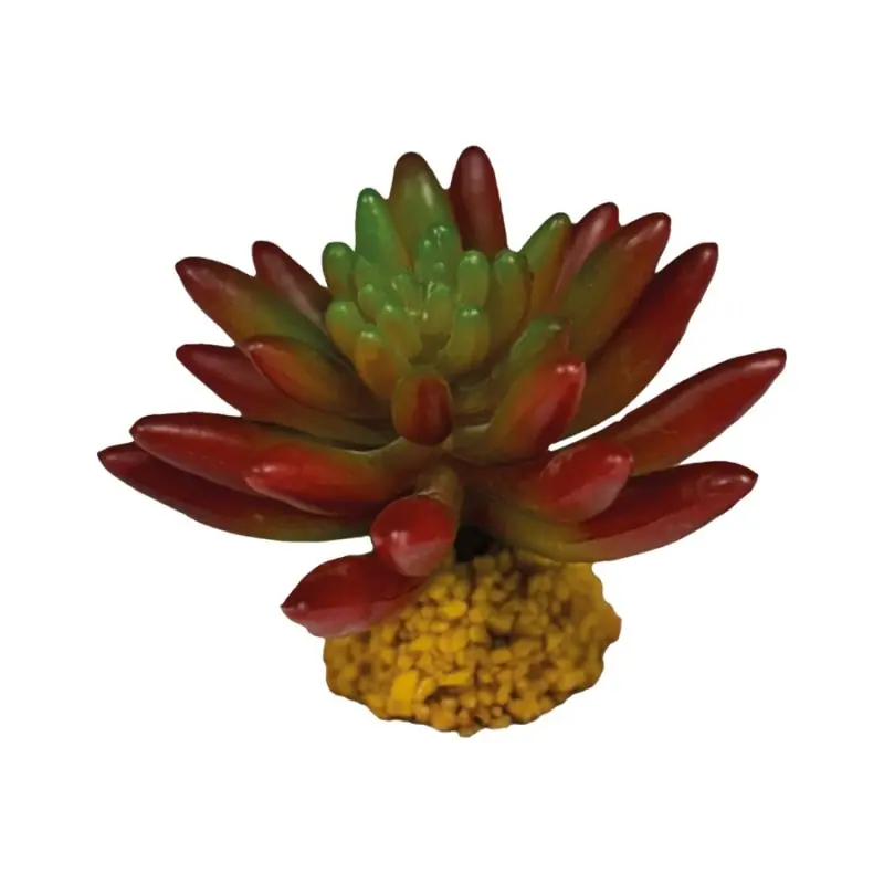 Nie przegap Roślina sztuczna Succulent Red Repto