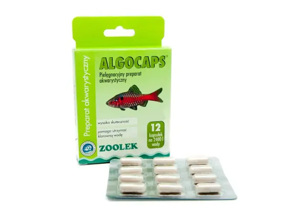 Ograniczona ilość Zoolek Algocaps 12szt - zwalcza glony i oczyszcza wodę