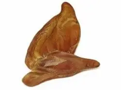 Nowy Ucho wieprzowe suszone- 1 sztuka