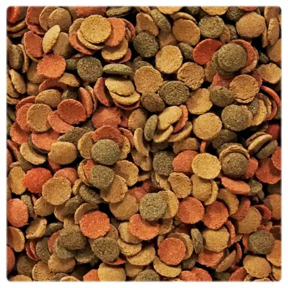 Glopex small WAFERS 100g karma dla ryb dennych Tylko dziś