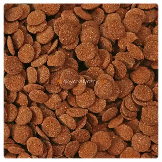 Glopex Algen Wafers Red 100g karma dla ryb dennych Bocji Kirysów Glonojada Zniżka