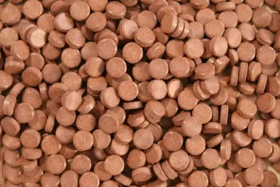 Glopex Cichlid Tablet 1kg tabletki przylepne karma dla ryb akwariowych Najlepsza cena