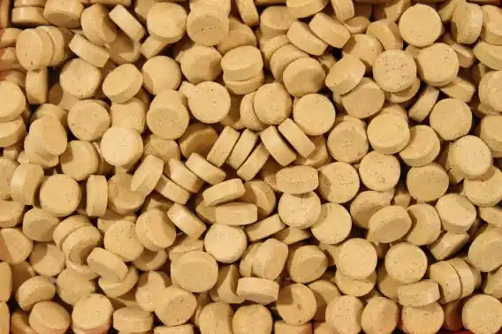 Szybka wysyłka Glopex Eigelb Tablet 1kg tabletki przylepne pokarm dla ryb akwariowych