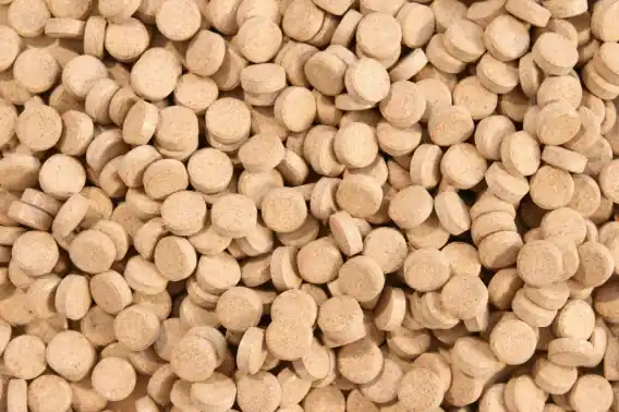 Hit sprzedaży Glopex FD Tablet 1kg tabletki przylepne pokarm dla ryb akwariowych karma
