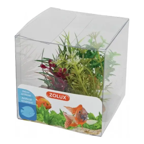 ZOLUX Dekoracje roślinne mix x 4 szt. zestaw 3 (352136) Szybka dostawa