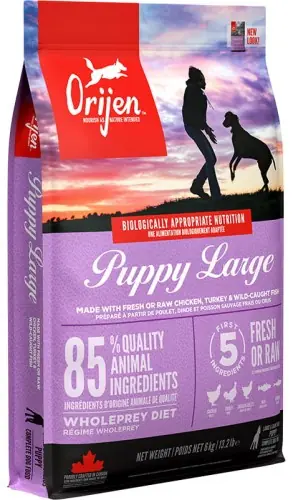ORIJEN Puppy Large 6 kg Ostatnie sztuki