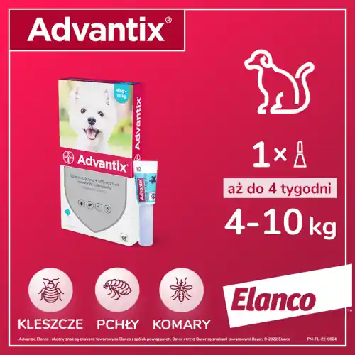 Ekspresowa dostawa BAYER Advantix - dla ps贸w od 4kg do 10kg (1 pipeta x 1 ml)