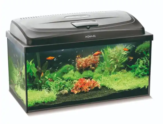 AQUAEL CLASSIC BOX LT 60 akwarium PROSTOKĄTNE Premium