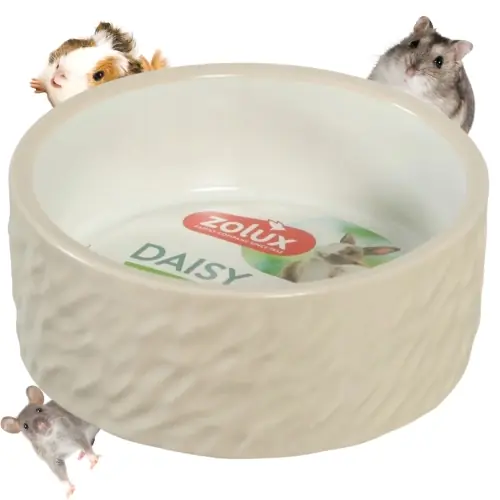 Łatwy zwrot Zolux Daisy miska ceramiczna dla gryzonia do karmy i wody be偶owa 200 ml