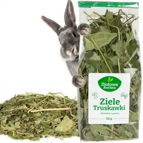 Zio艂owa Kotlina Ziele truskawki Przysmak smako艂yk dla gryzoni 50g Nowy