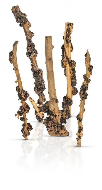 PROGROW ENIGMA WOOD korzeń imitujący pionowy pień las 40-45cm Dostępne od ręki